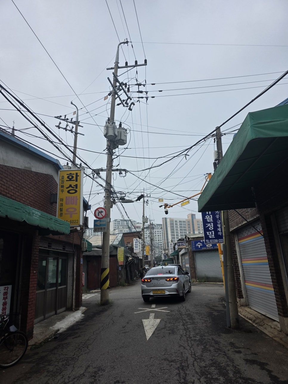토리냥